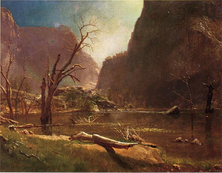 Hetch Hetchy Valley